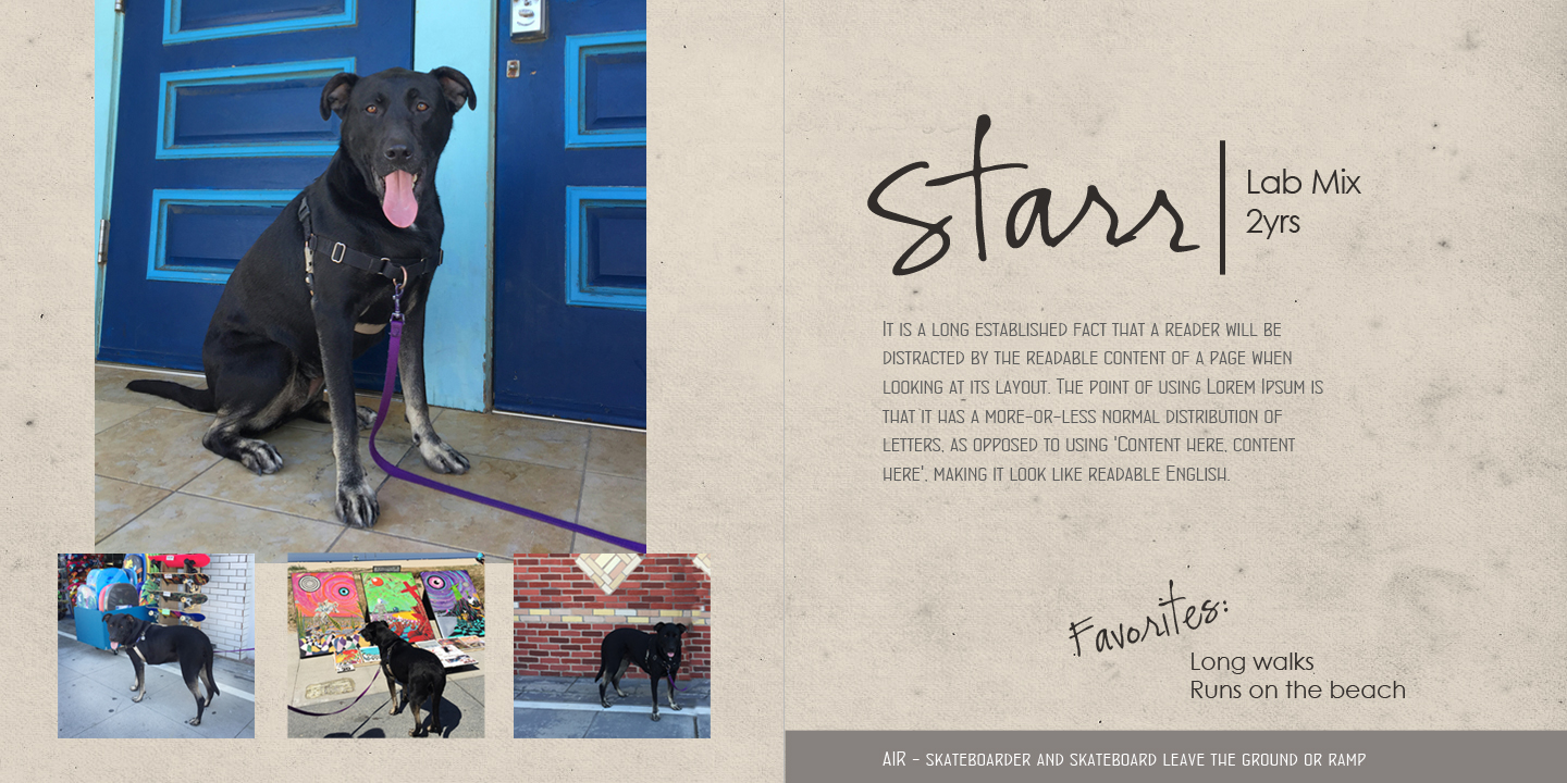 6-7_storyboard_dog_page5 6-7_storyboard_dog_page5