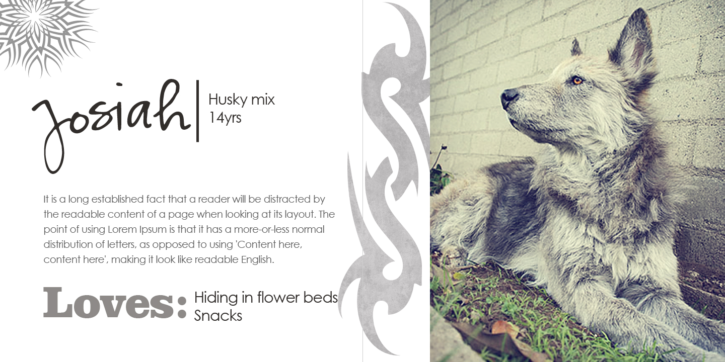 6-7_storyboard_dog_page_white 6-7_storyboard_dog_page_white